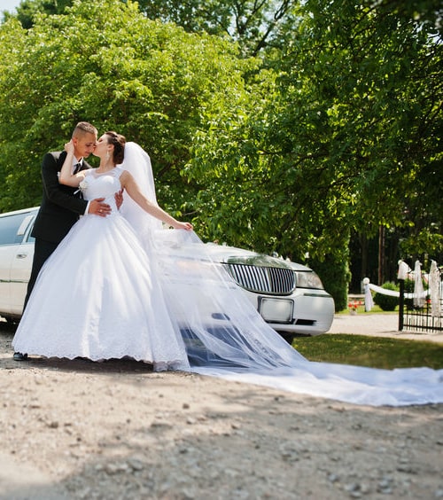 Tinley Park Limo Service and Party Bus Rental wedding